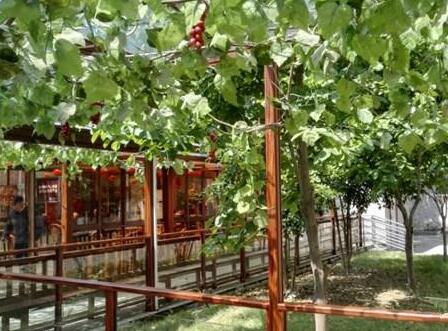 杭州和睦老人公寓_杭州性价比高的养老院,杭州好一点的养老院