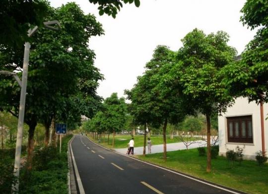 广州花都区怡乐养老院怎么样？