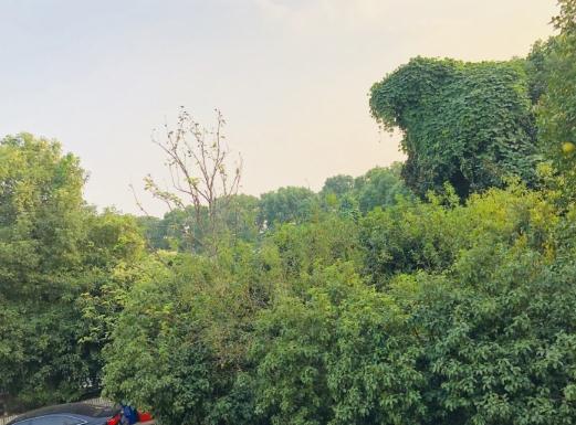 绍兴越城区鹤池苑老年公寓环境图片