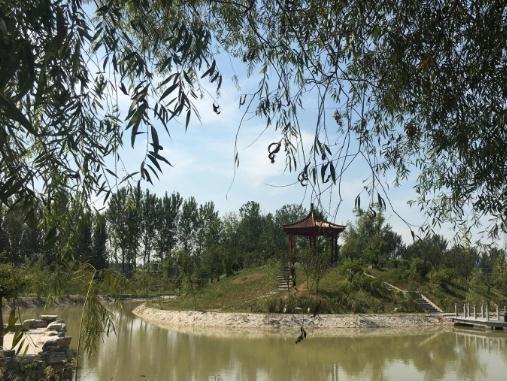 徐州天爱家园_徐州包吃包住养老院,徐州哪里有好些的养老院