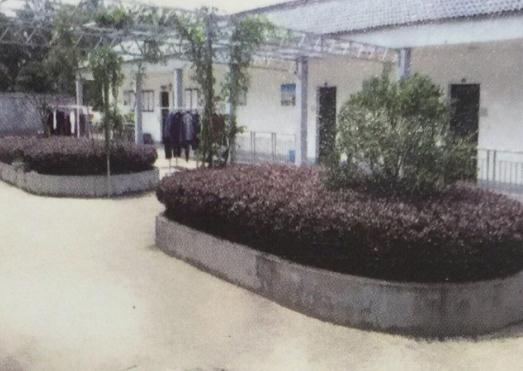 嵊州市爱泰敬养老院_绍兴一般养老社区收费价格表