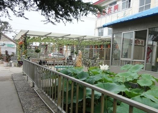 桓台县颐年托养院_淄博高级的老年公寓,淄博高级的老年公寓叫什么