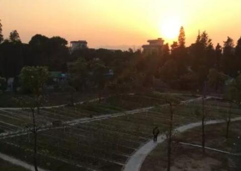 珠海曦之原候鸟度假养生养老基地_珠海老年公寓价位多少钱,珠海公立老人院