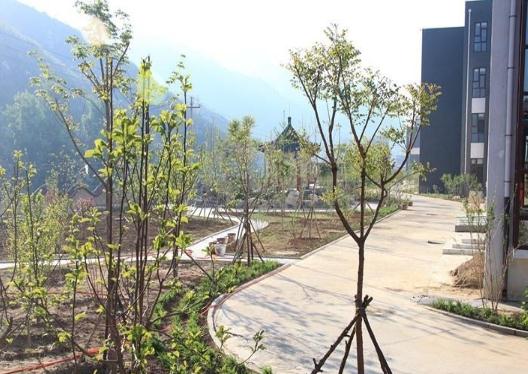 宽城鹤鑫巢养老服务中心环境图片