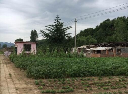 丹东市太平湾老年公寓环境图片