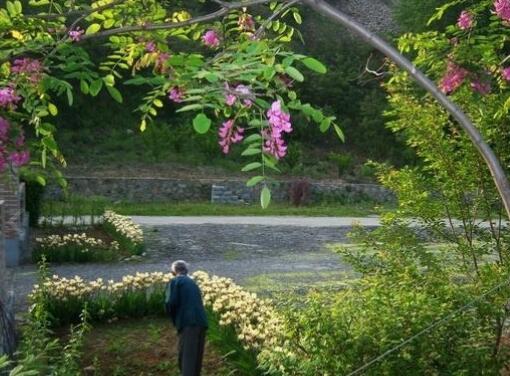 丹东市泰和养老院_丹东低端老年护理院地址在哪,丹东敬老院地址查询