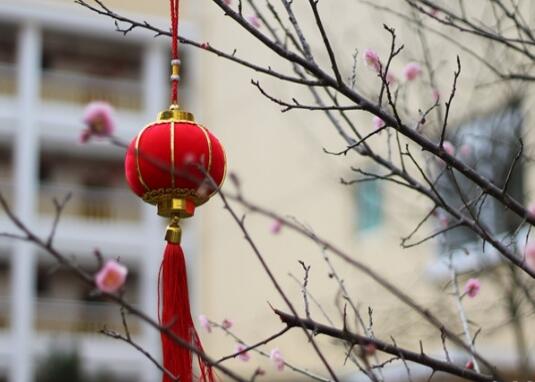 顺昌县国德康养中心环境图片