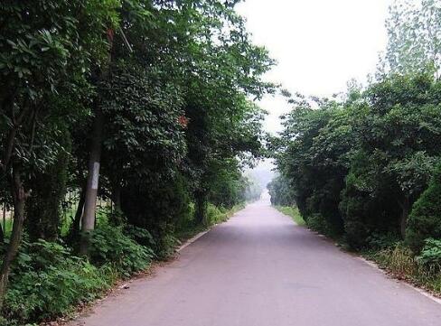 淮南桃园居老年公寓环境图片