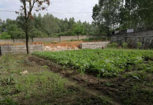 泉州幸福家园颐养园_泉州低端养老社区,泉州的养老院哪几家最好