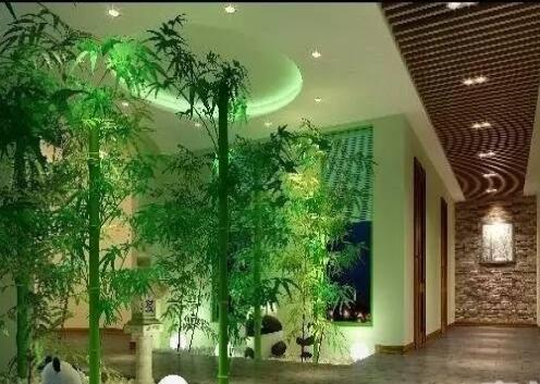 安徽千禧乐园养老公寓_亳州5000元左右养老社区名单一览,亳州养老机构