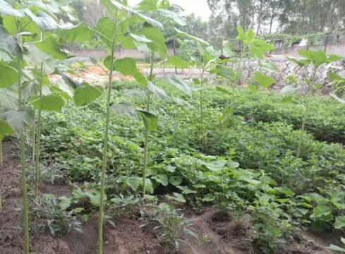 泉州幸福家园颐养园环境图片