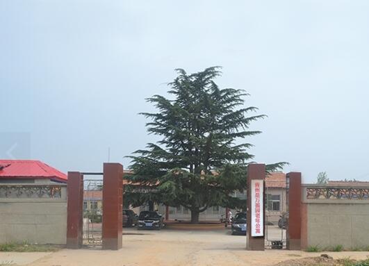 青州市万福园老年公寓_潍坊全护理养老院费用价格,潍坊养老医院