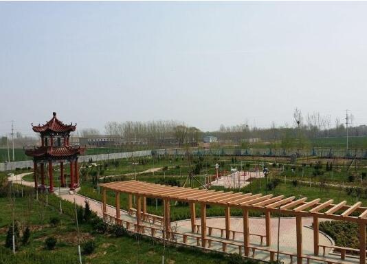 临邑县阳光佳苑福利服务中心环境图片