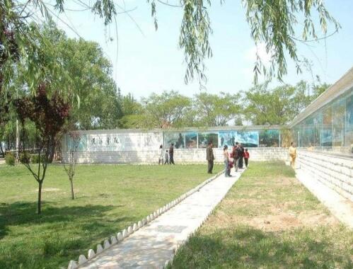 郓城黄河医养集团环境图片