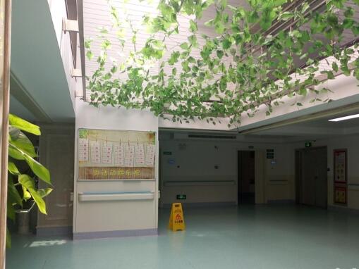 黄石广慈老年病医院环境图片