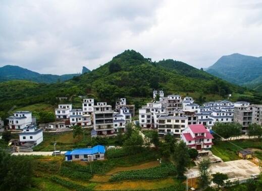 巴马汇福中医村环境图片