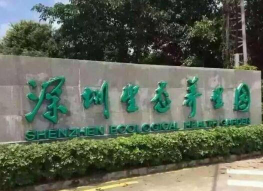 深圳市任达爱心护理院_深圳10000元以上老年护理院,深圳老人护理院