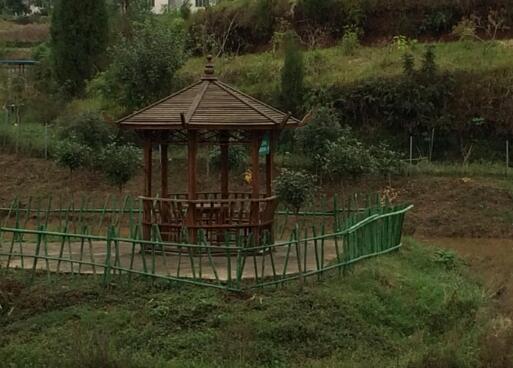 蓬安泰和玉都老年公寓_南充比较好的养老院,南充比较好的养老院在哪里