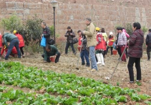 绵阳市游仙区常青藤颐养苑_绵阳老年公寓,绵阳老年公寓价格