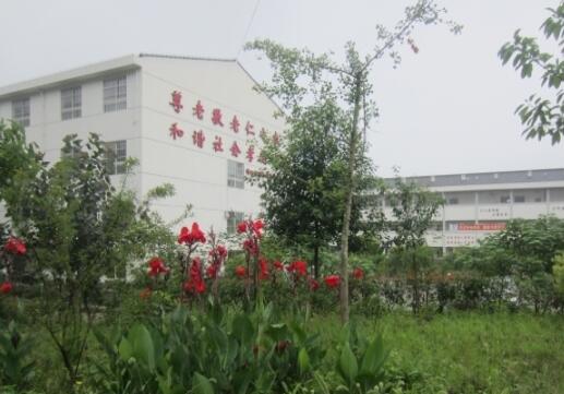 绵阳市游仙区常青藤颐养苑_绵阳顶级养老院,绵阳养老院电话号码