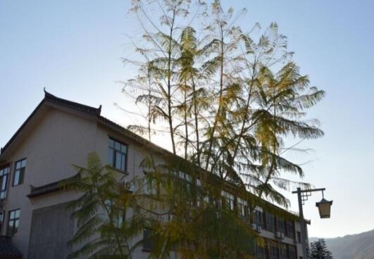 攀枝花市心颐康养服务有限责任公司_攀枝花豪华养老院,攀枝花豪华养老院在哪里