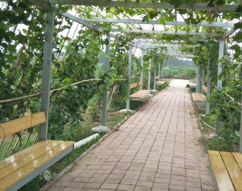 沧州康之源老年公寓_沧州连锁养老院,沧州连锁养老院有几家