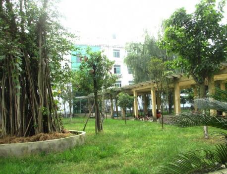 成都医养结合的养老院有哪些？