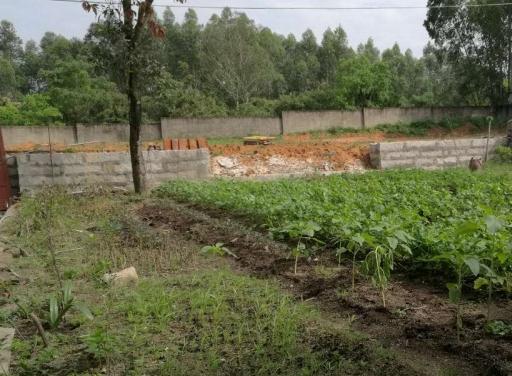 南安市幸福时光养老院_泉州比较好的养老院地址