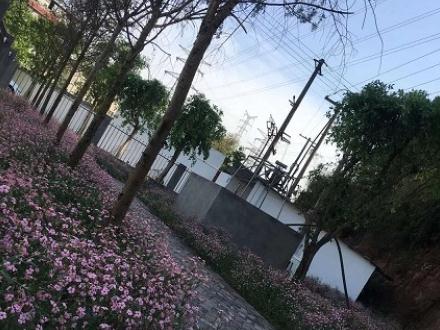 乐山嘉州养老院环境图片