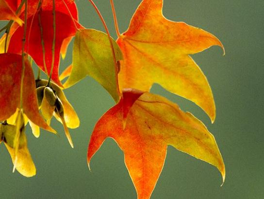 天津津南开元东方养老院怎么样（含地址、价格）？