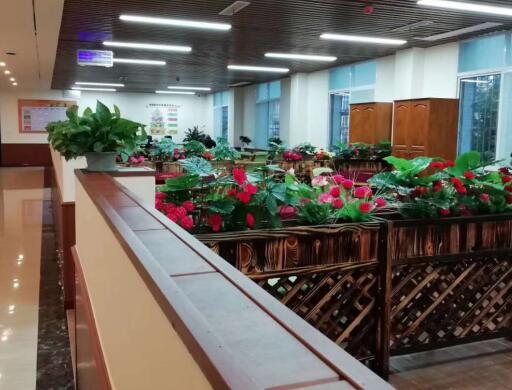 重庆潼南寿而康社区养老服务中心环境图片