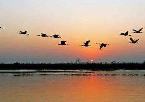 民政局：文养结合&mdash;&mdash;幸福养老新模式！