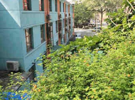 攀枝花市馨佳园养护院_攀枝花6000元养老院,攀枝花东区养老院有哪几家凡