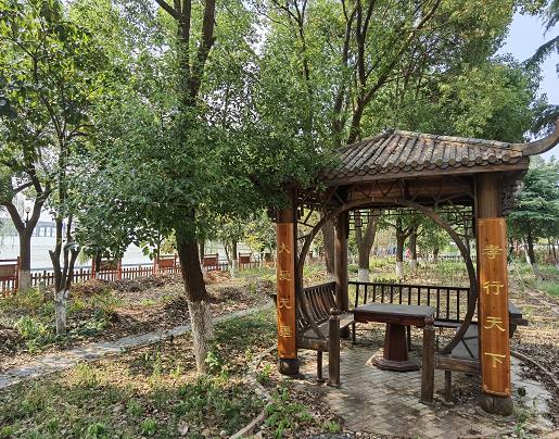 武汉中颐海滨养老院环境图片