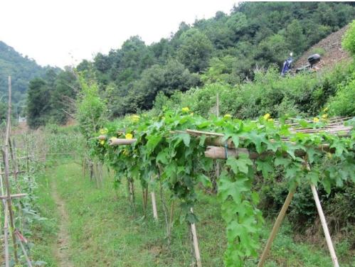 福康山庄老年公寓环境图片