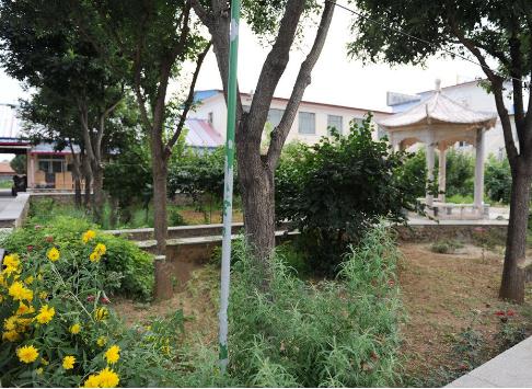 北京市密云县永春养老院环境图片