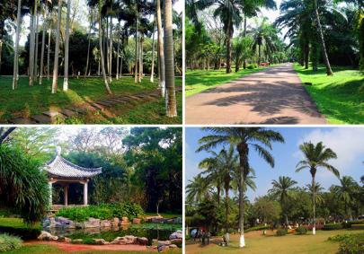 海口绿康元中医康养基地_海口低端养老院列举几家,海口养老院收费标准