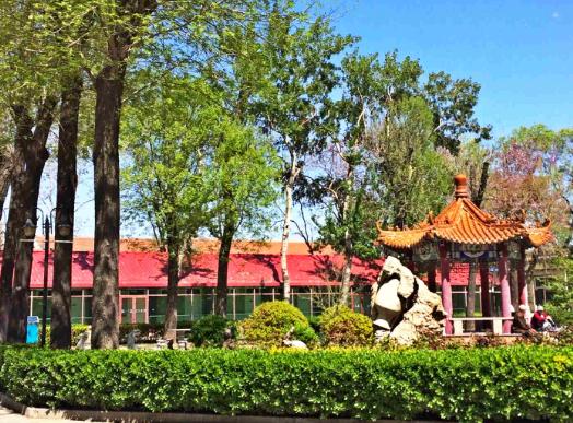 天津市河西区长泰养老院环境图片