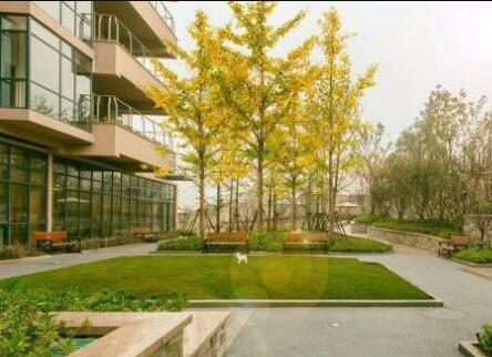 雍柏荟富阳安养之家_杭州失智老年公寓,杭州失智失能老人补贴