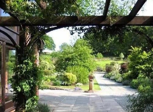 青浦康养中心环境图片