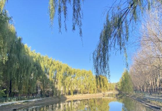 沈阳九如城康养中心皇姑院环境图片