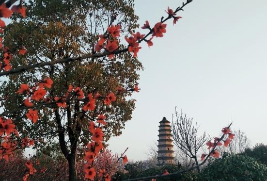 洛阳弘义悦康养老_洛阳老年公寓一览表,洛阳老人院