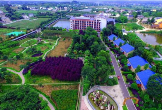 绵阳市游仙区万鸿颐养院环境图片