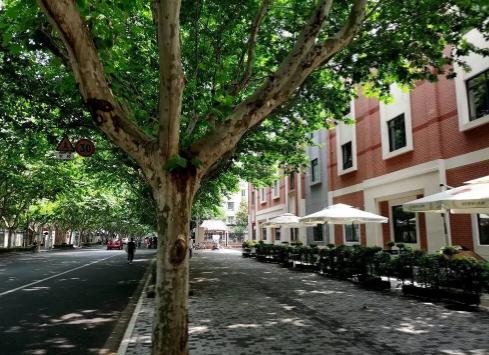 上海红日咏华养老公寓环境图片