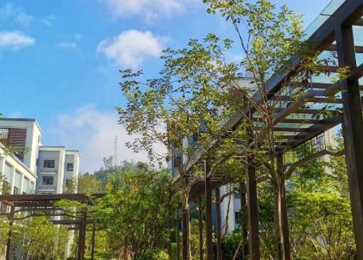 惠州碧桂园永湖山庄老年公寓环境图片