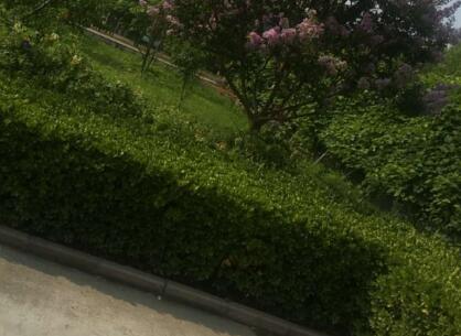 北京市昌平区江山老年公寓环境图片