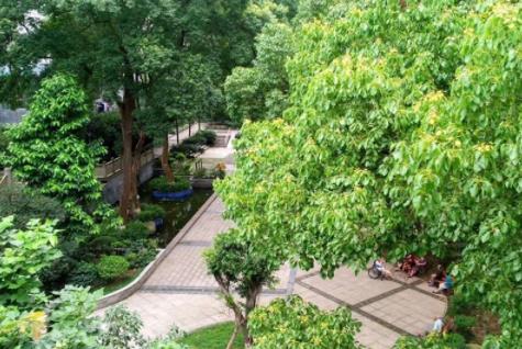 康乐佳园养老服务中心_泸州比较好的老年护理院目录,泸州老人院