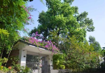 南充晚晴养老会所_南充正规老年公寓,南充敬老院哪家便宜