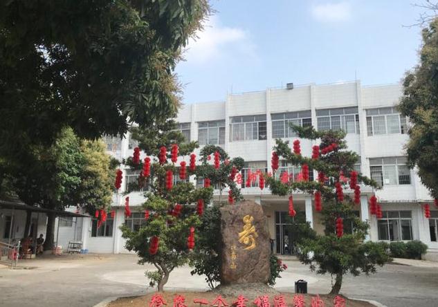 茂名市慈爱颐养院环境图片