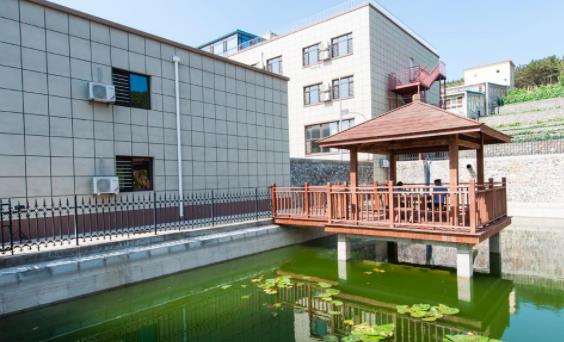 大连康泰老年休闲园环境图片